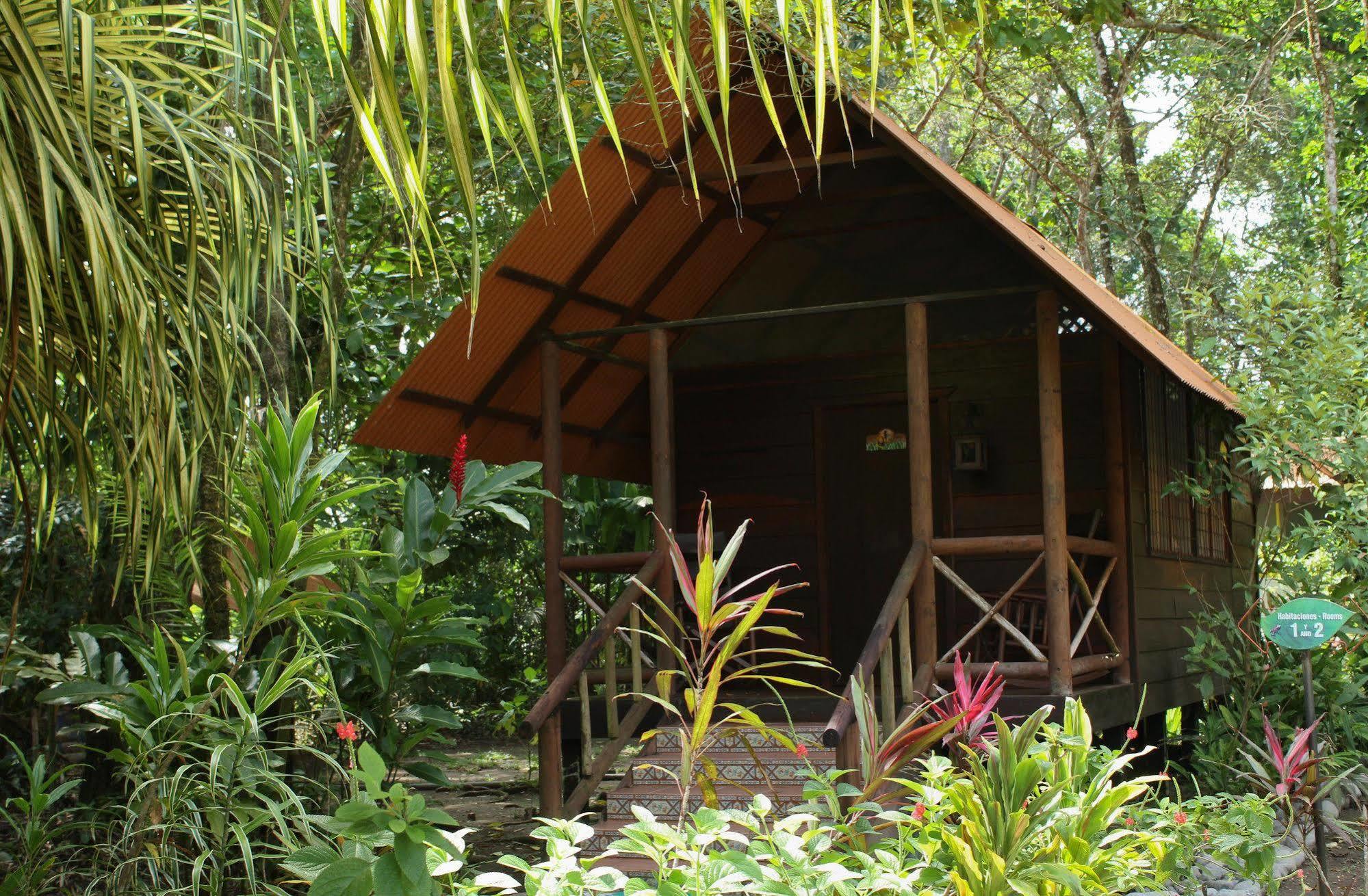 Evergreen Lodge Tortuguero Esterno foto